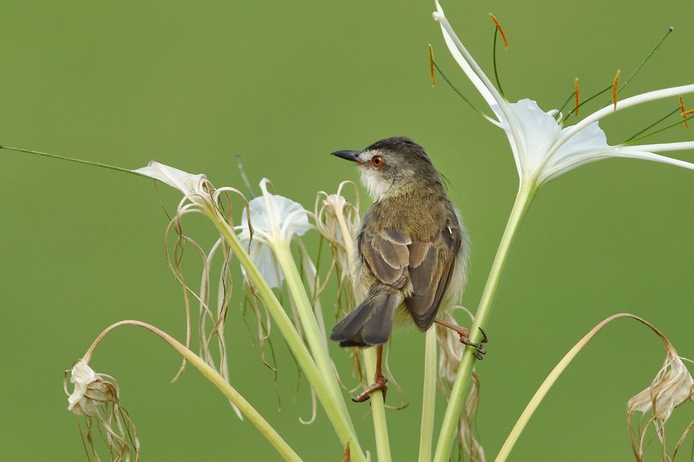 Photograph by Xuan Quyen Nguyen