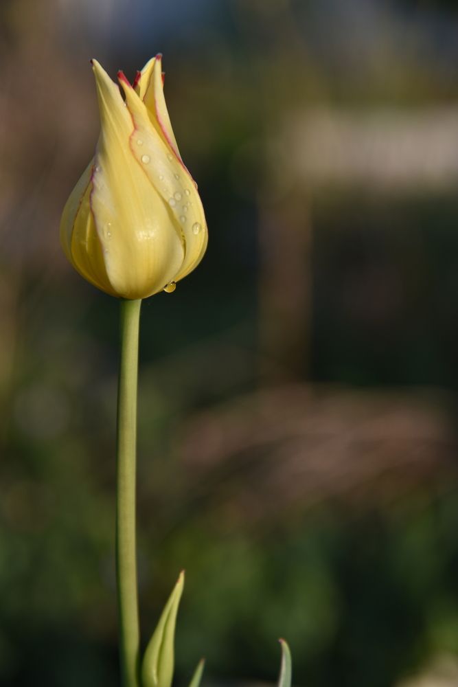 Photograph by Ксения Шакирова