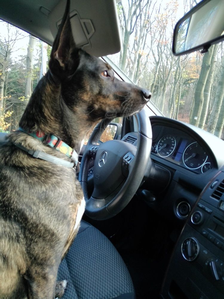 Photo #10451476