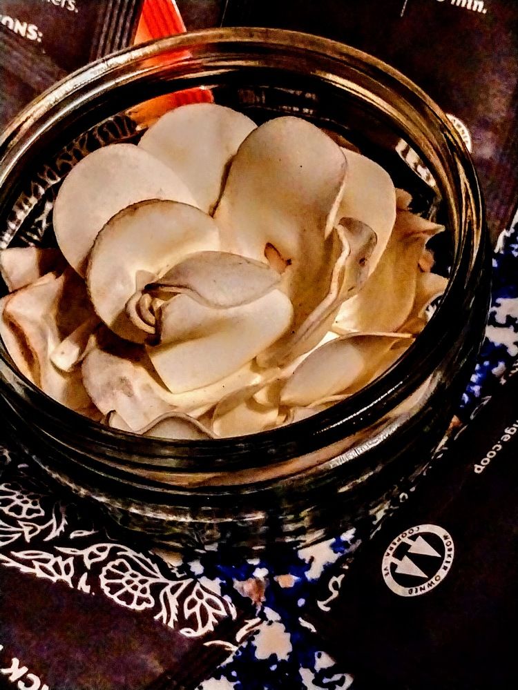 Photograph by Paul Walker