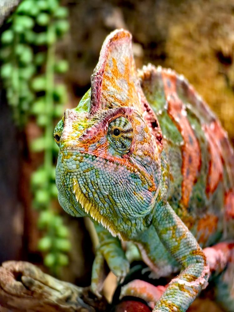 Photograph by Анна