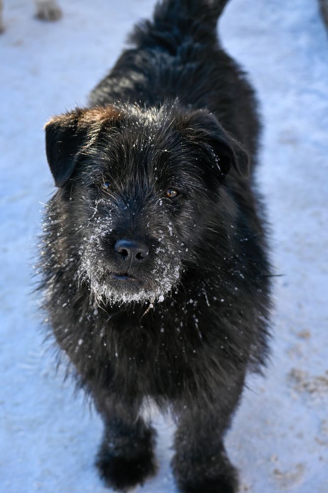 Фотография автора Irina Linina