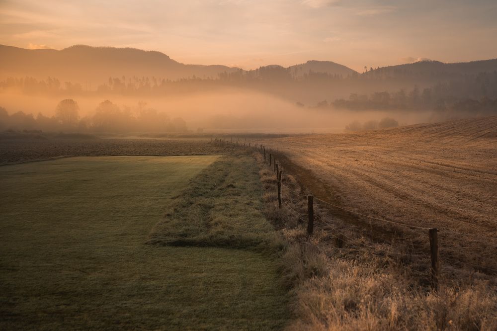 Фотография автора Tomas Kozel