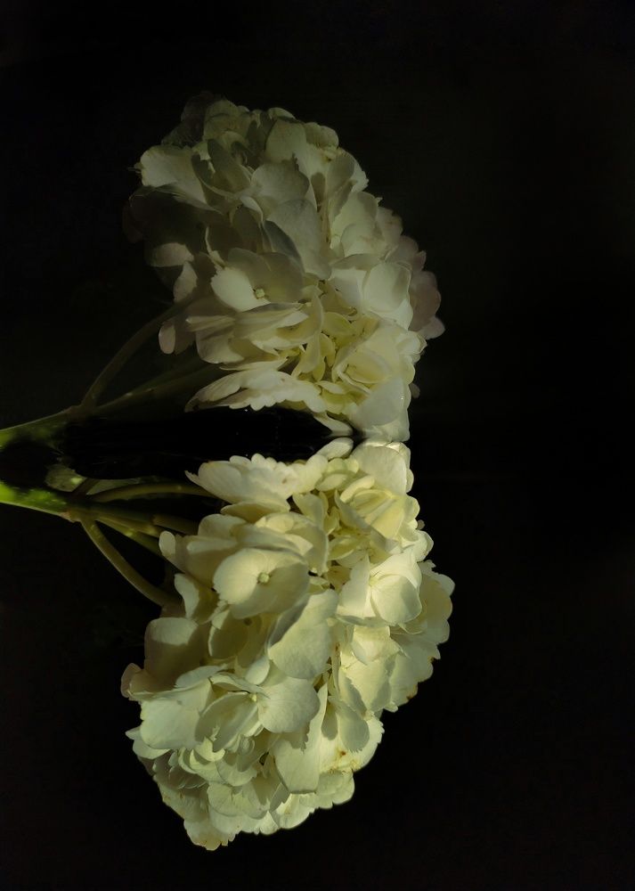 Photograph by Ната Евсеева