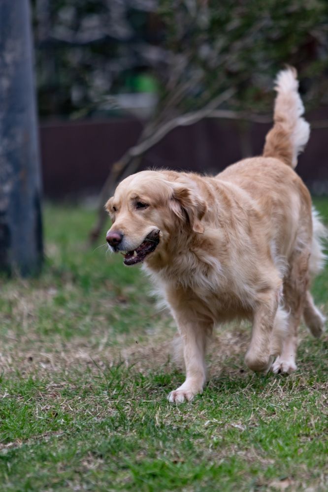 Photograph by Александр Вдовенко