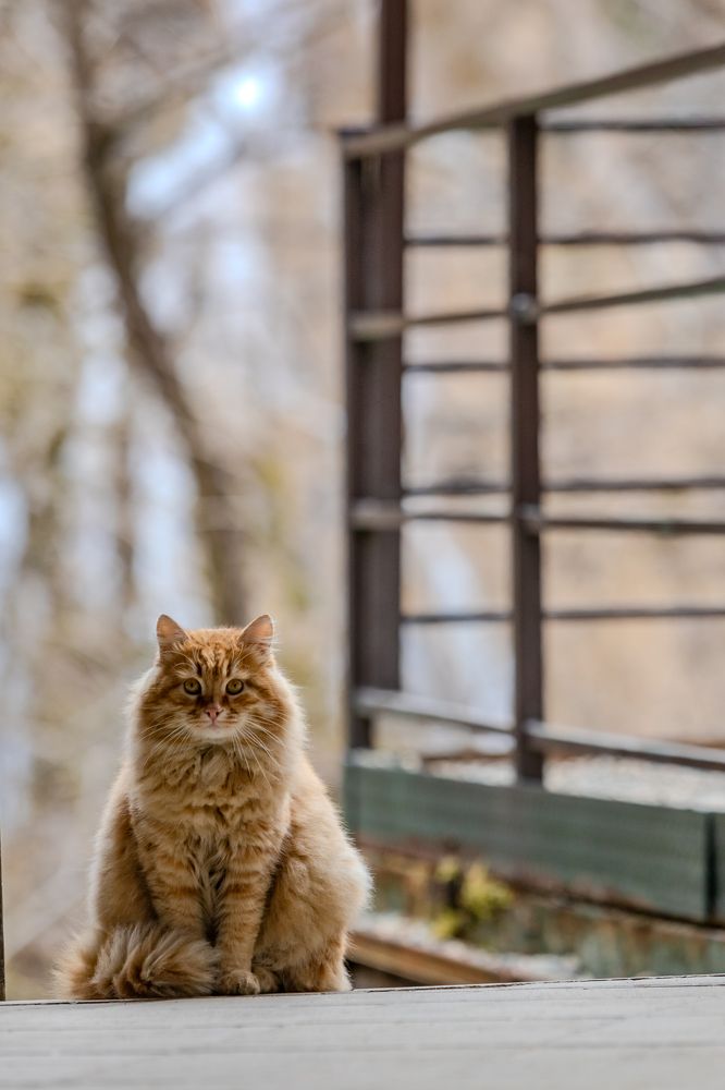 Photograph by Александр Вдовенко