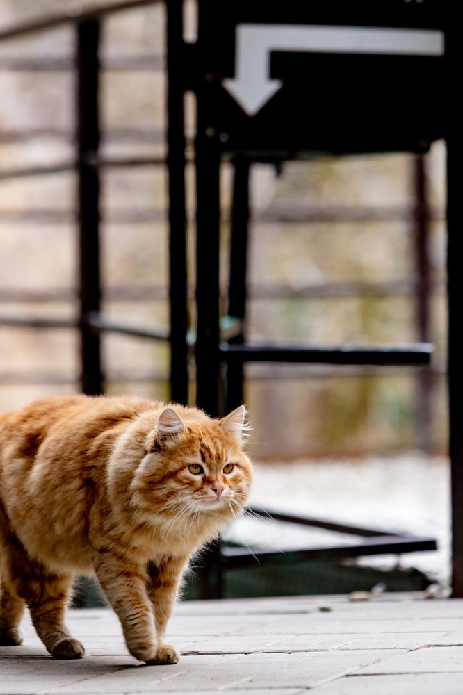 Photograph by Александр Вдовенко