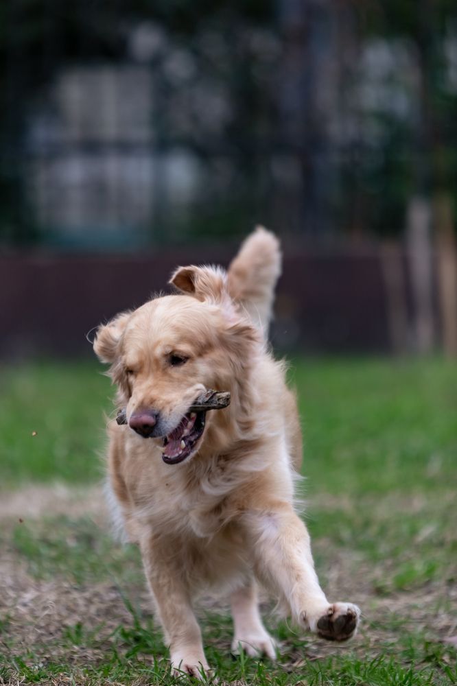 Photograph by Александр Вдовенко