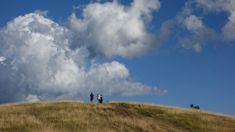 Фотография автора Liliana C.