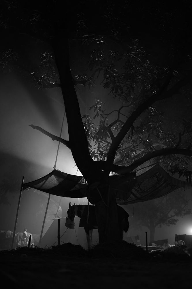 Фотография автора Mohammad Asif