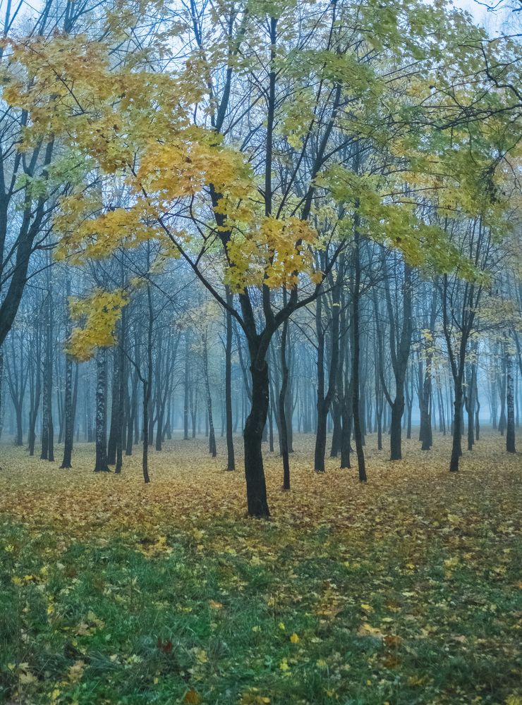 Photograph by БОРИС БЕЛКАНИЯ