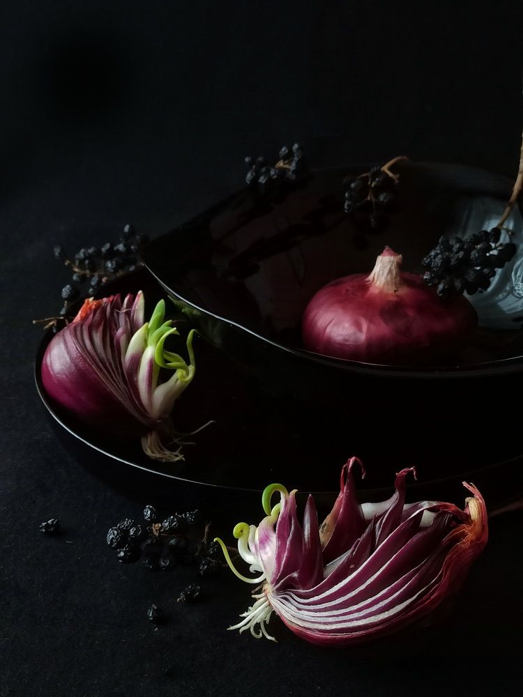 Photograph by Новикова Елена Сергеевна