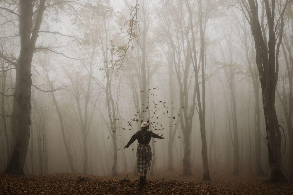 Фотография автора amin maleki