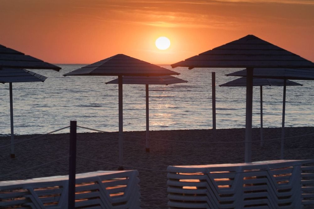 Photograph by Алексей Шамашов