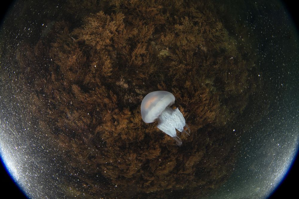 Photograph by Валерий Лейко