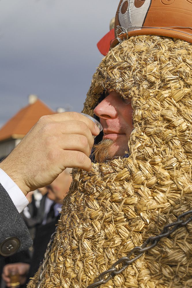 The bull was thirsty