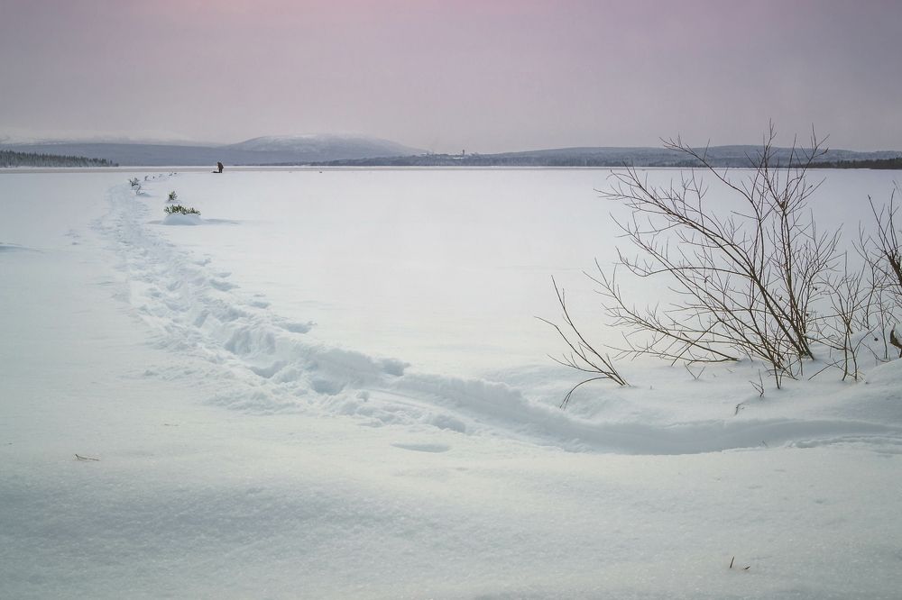 Photograph by Dmitriy Chubko