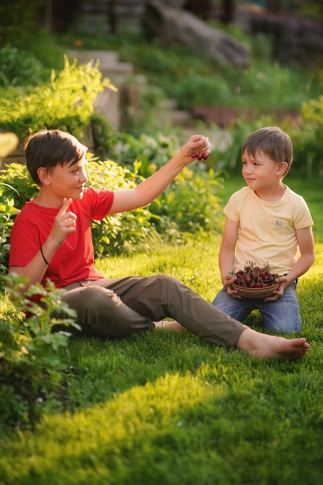 Сбор урожая