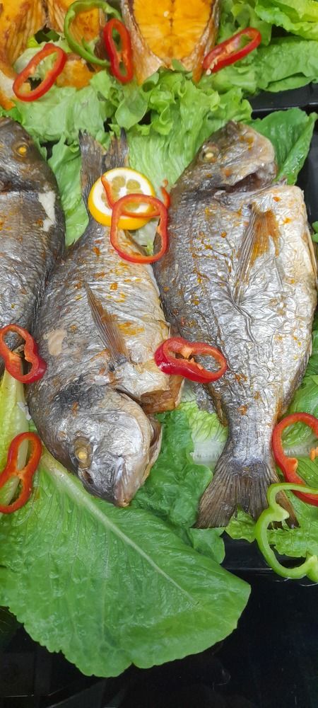 Фотография автора Revaz Topuria