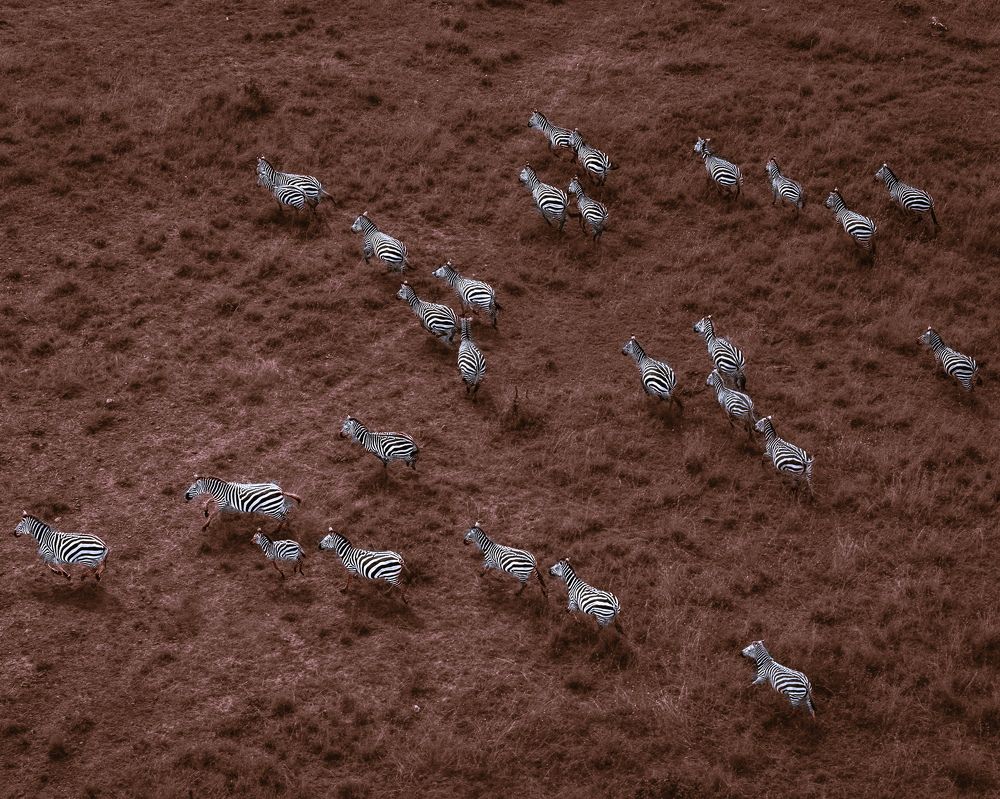 Photograph by Rio Marvin