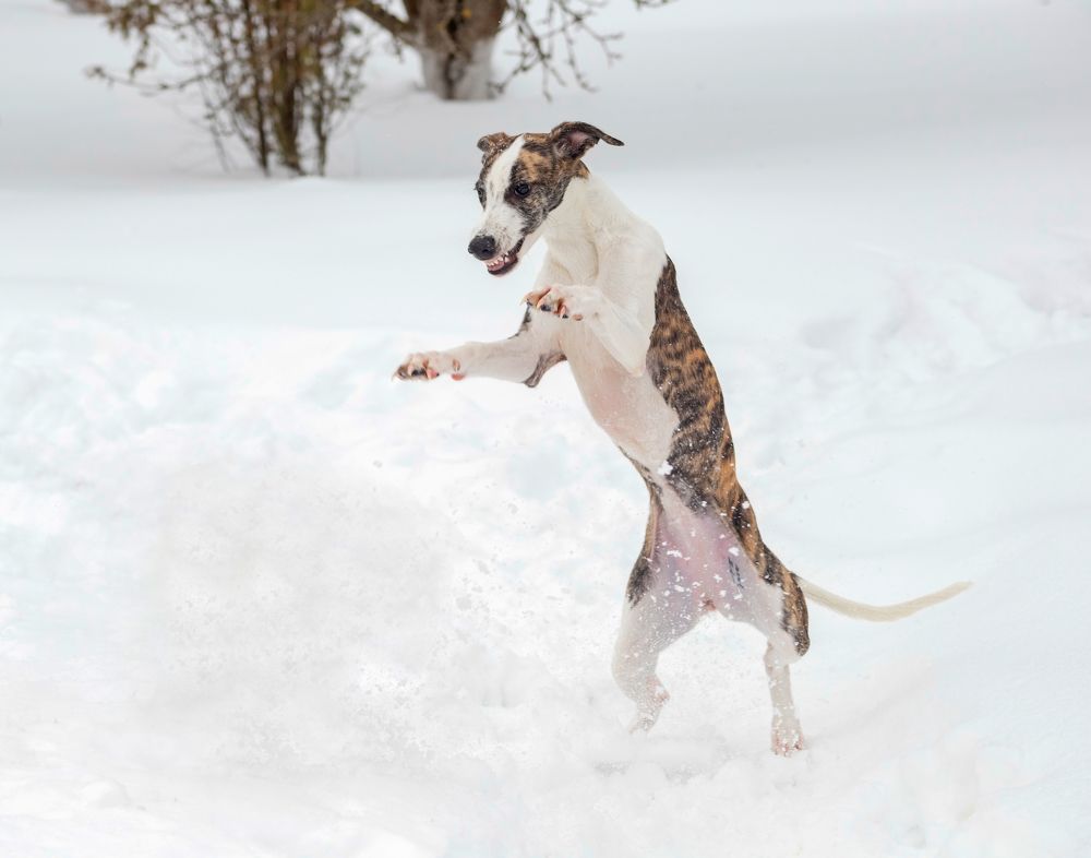 Photograph by Анастасия Рысь