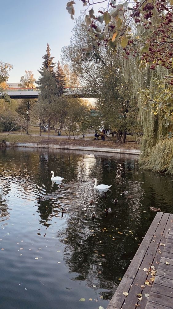 Photograph by Osazemen Godswill Osayogie