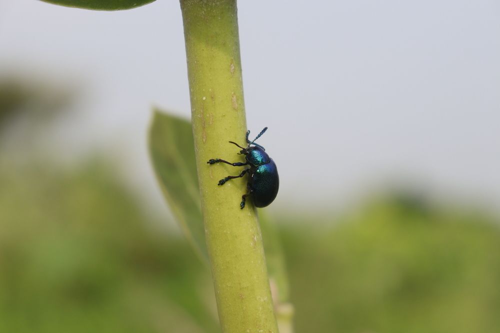 Photograph by Sandy Daniel