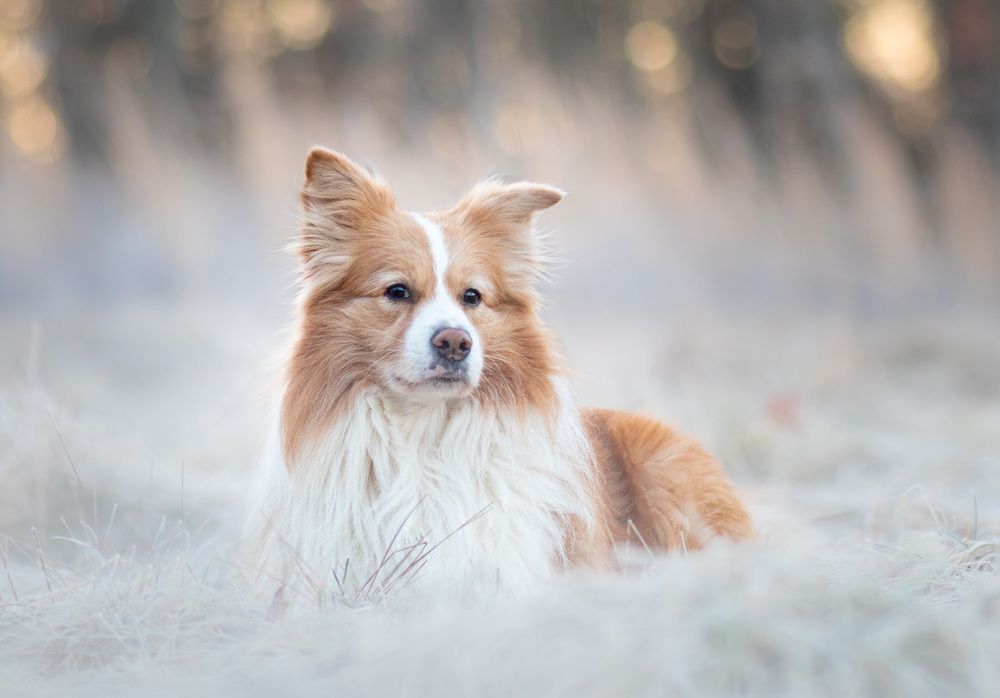 Photograph by Dex Deskins