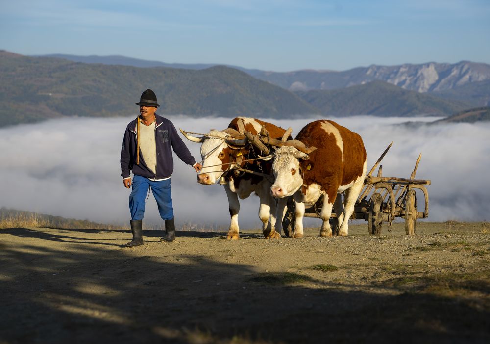 Photograph by strinoiu marian