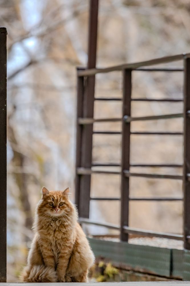 Photograph by Александр Вдовенко