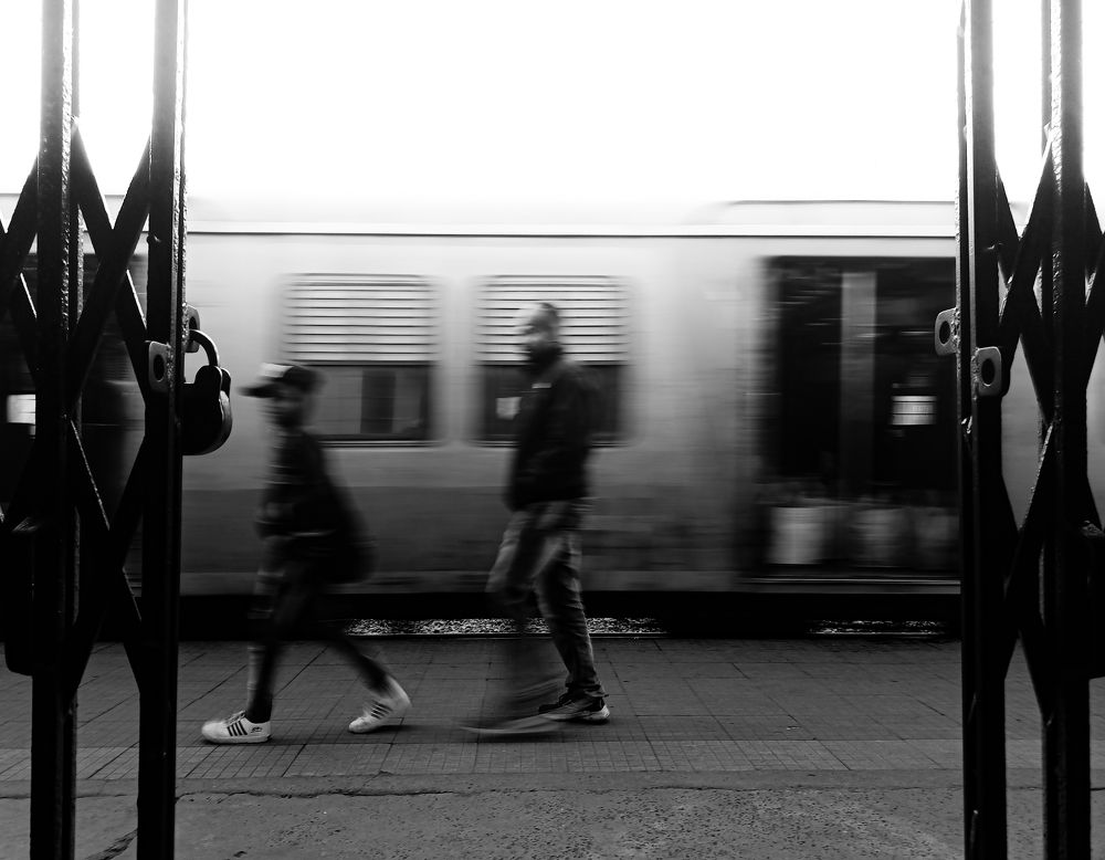 Life in motion