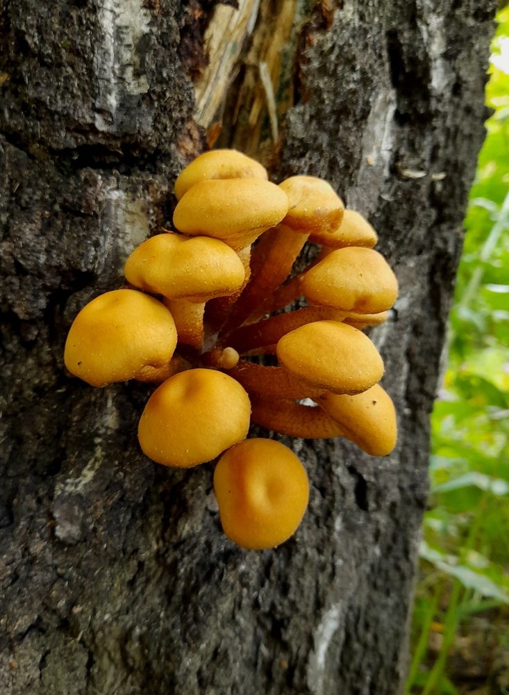 Фотография автора Владислава Андрюнина