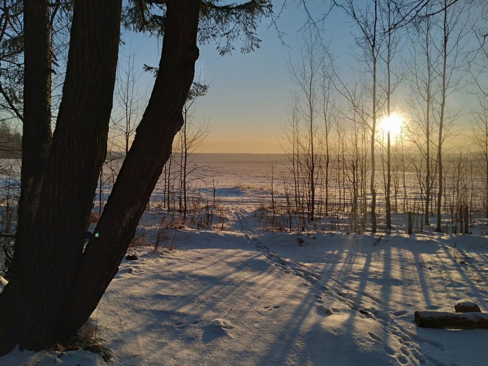 Photograph by Анастасия Мантурова
