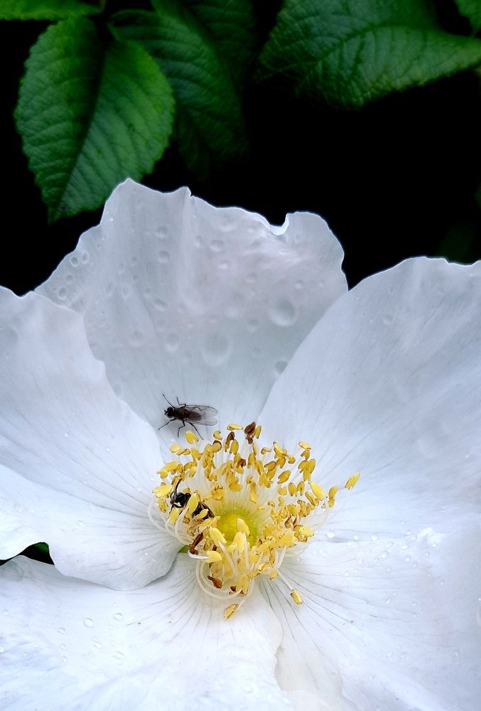 Фотография автора Владислава Андрюнина