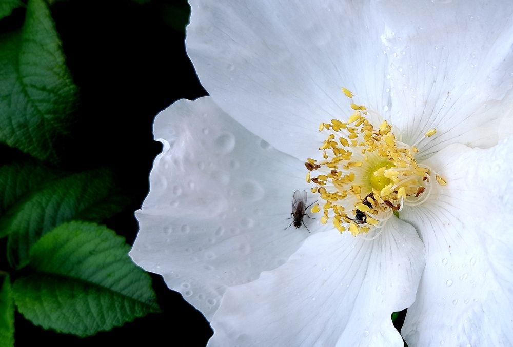 Фотография автора Владислава Андрюнина