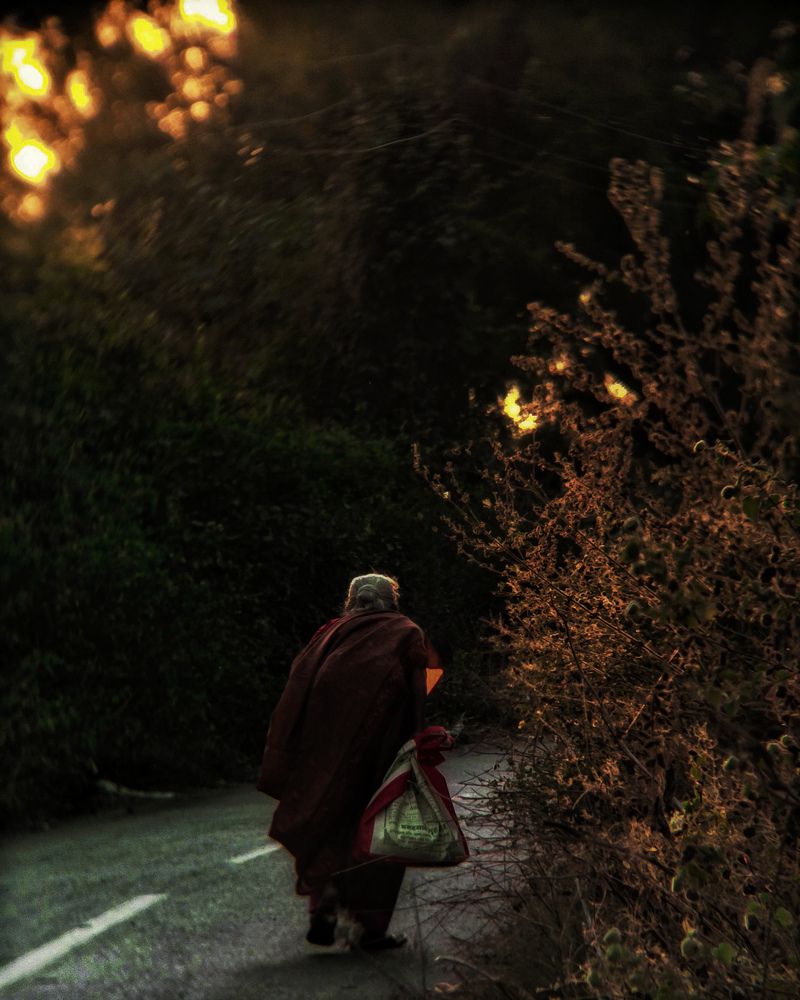 Photo #10452990