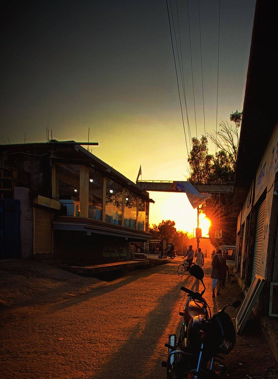 Photo #10453001