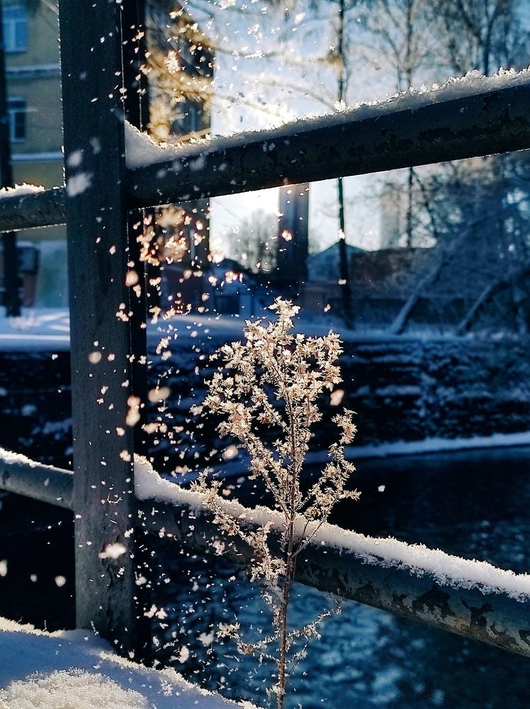 Photograph by Вячеслав Щёголев