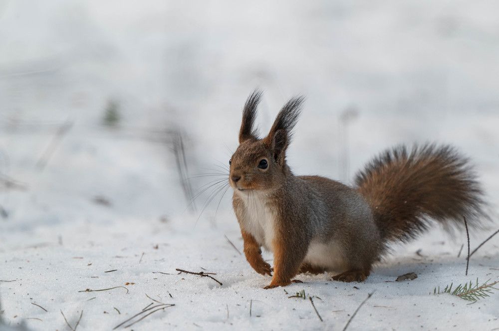 Photograph by Анастасия Жучкова