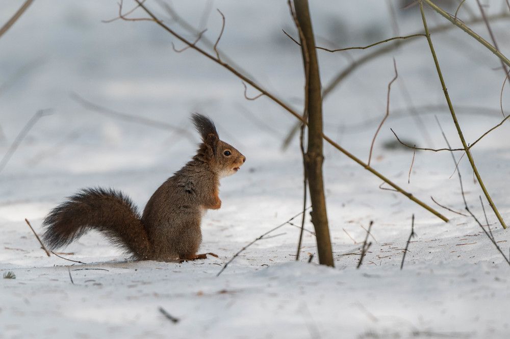 Photograph by Анастасия Жучкова