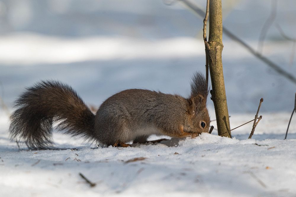 Photograph by Анастасия Жучкова