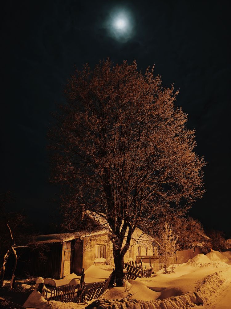 Photograph by Сергей Данилов