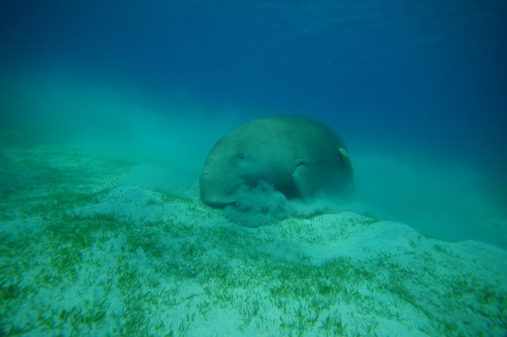 Photograph by Александр