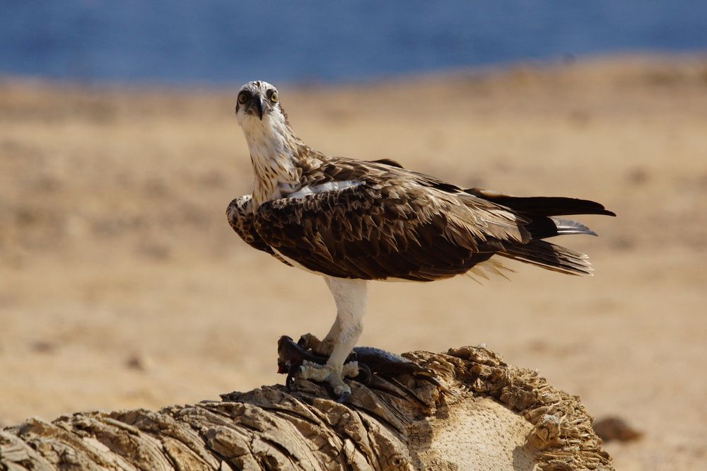 Photograph by Александр