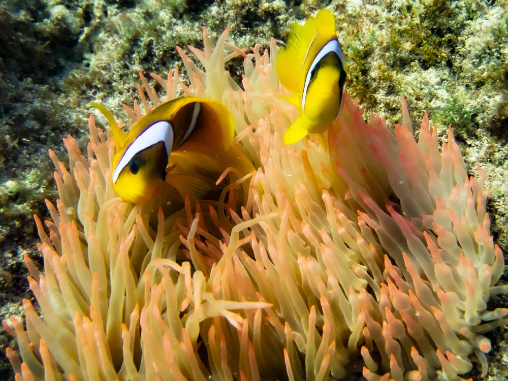 Photograph by Александр