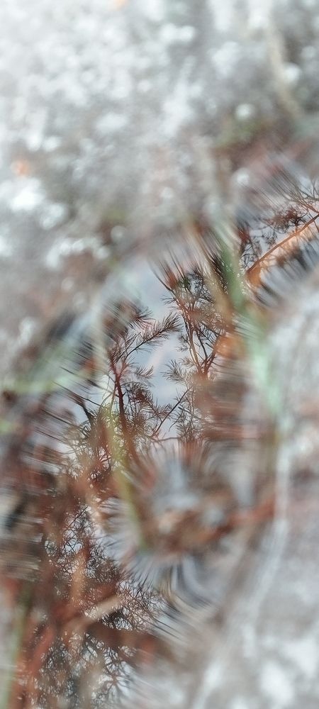 Photograph by Любовь Макарова