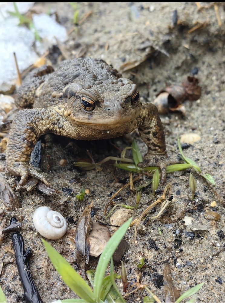 Photograph by Ирина Тихая