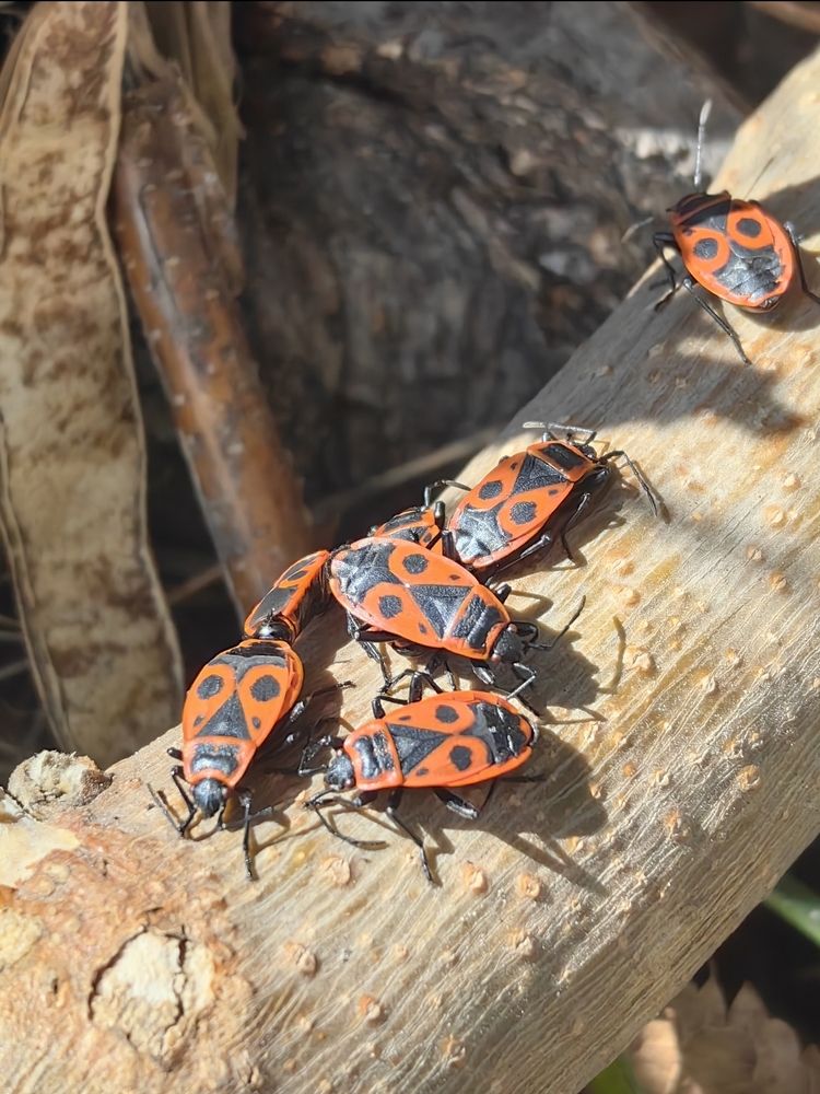 Photograph by Ирина Тихая