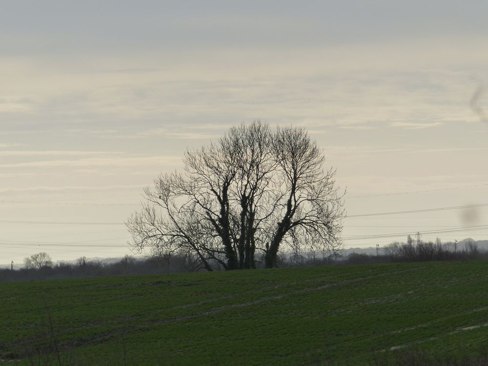 Photograph by Isabella Northrop