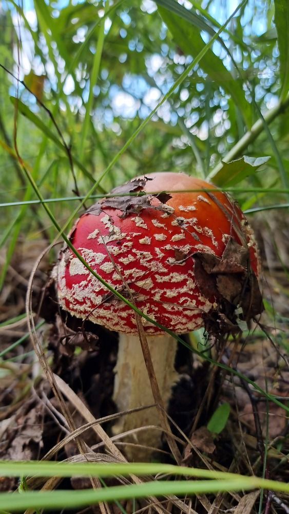 Photograph by Елена Матвеичева